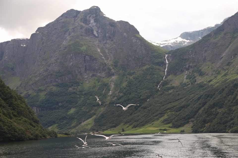 Nature montagne lac rivière