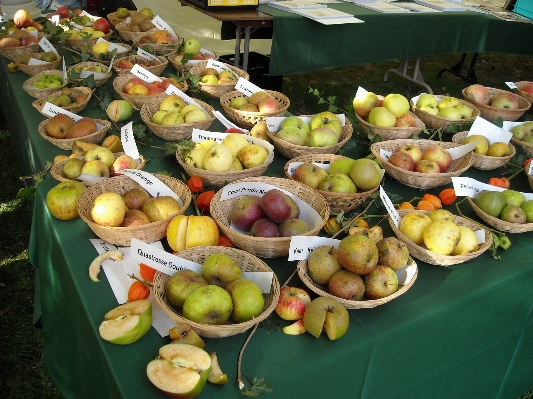 Foto Buah piring makanan menghasilkan