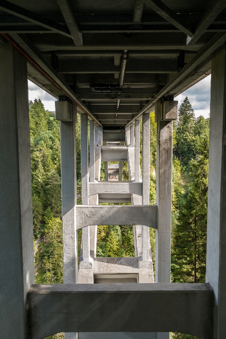 森林 建筑学 天空 木头