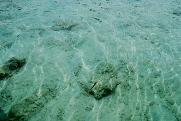 Meer wasser natur ozean Foto