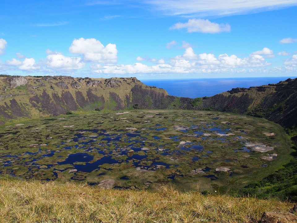 Landscape sea coast wilderness