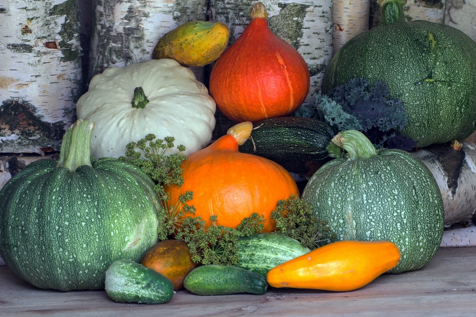 Essen ernte produzieren gemüse