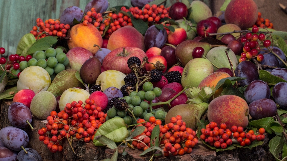 Apple anlage frucht essen