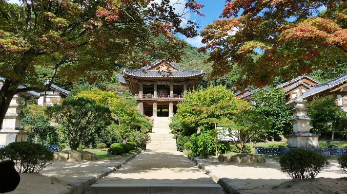 Landscape wood mansion building Photo