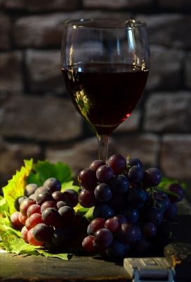 Plant grape wine fruit Photo