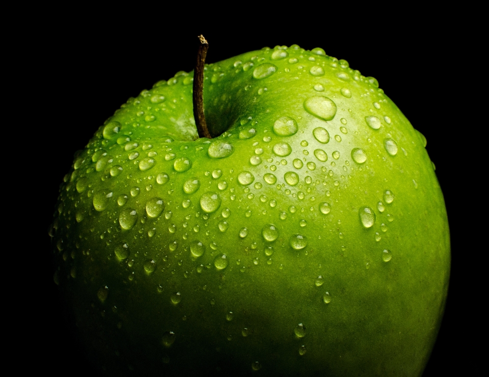 Apple 落とす 植物 写真撮影