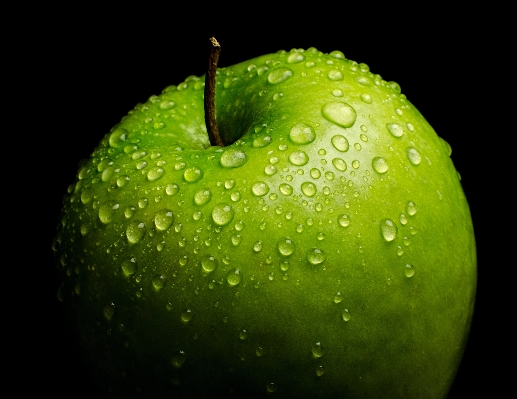 Apple drop plant photography Photo