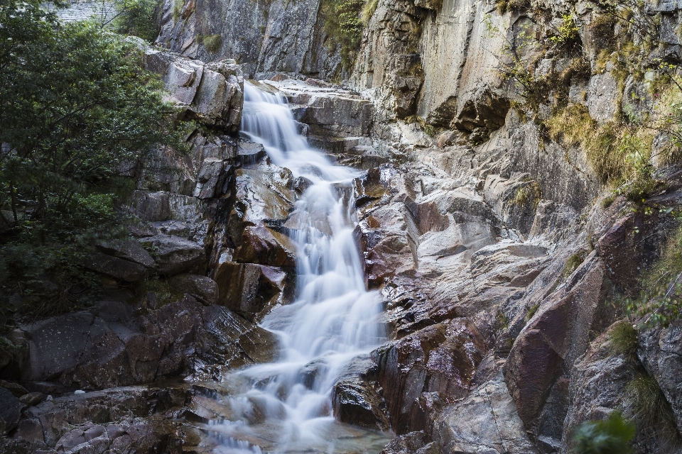 Water nature forest rock