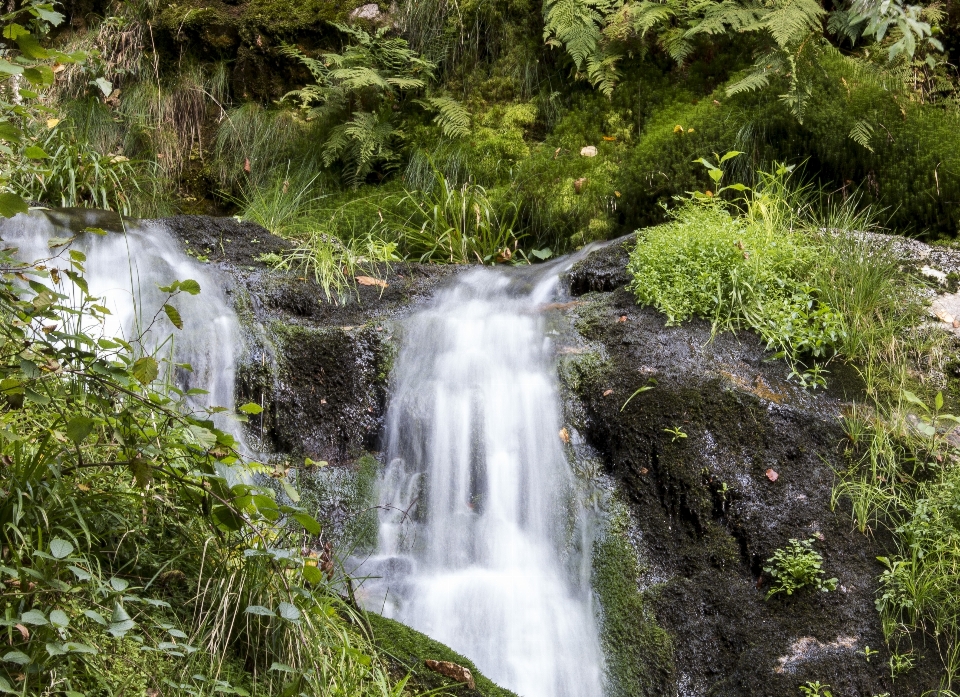 água natureza floresta cachoeira