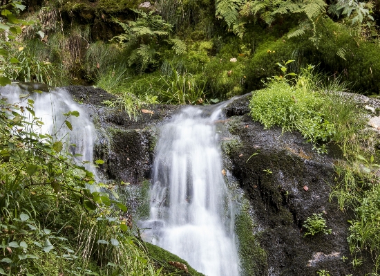 Wasser natur wald wasserfall Foto