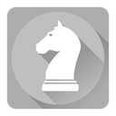 Chess Icon