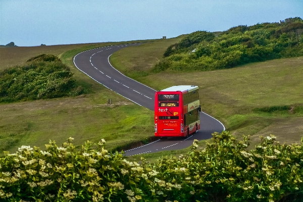 Coast path road field Photo