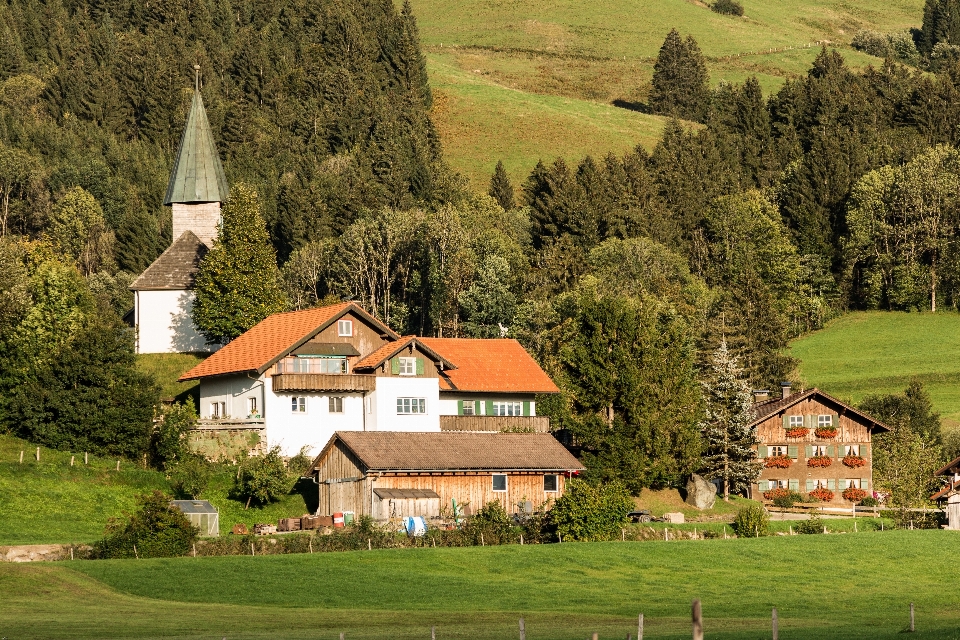 Paesaggio natura azienda agricola prato