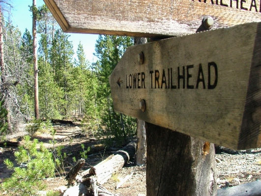 Wood trail sign directions Photo