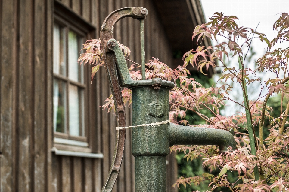 Zweig blume heim pavillon
