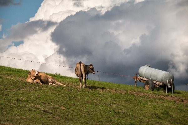 Landscape grass mountain sky Photo