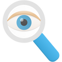 Magnifying glass Icon