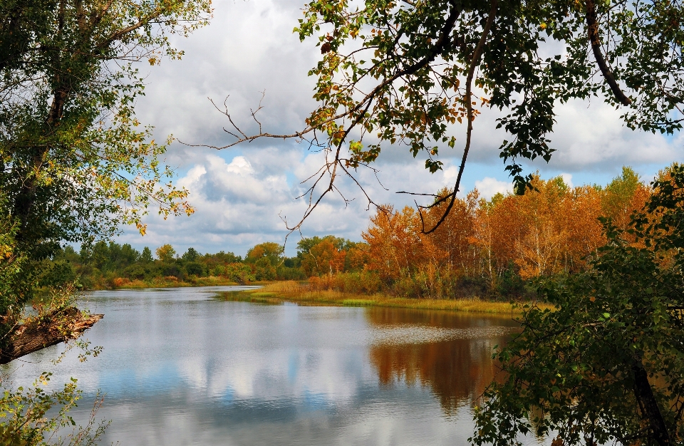 Landschaft baum wasser natur