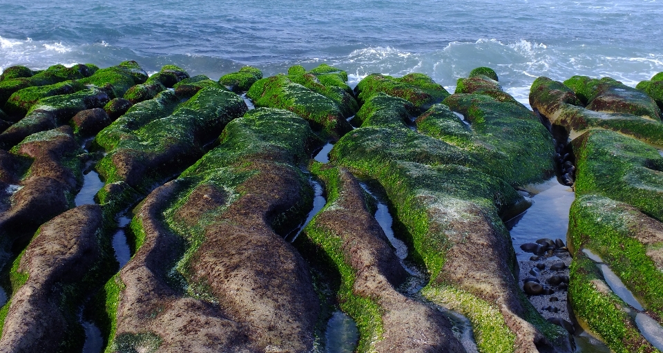 Beach landscape sea coast