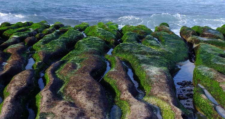 Beach landscape sea coast Photo