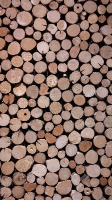 Nature wood texture floor Photo