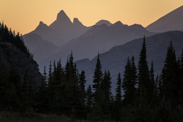 Landscape nature forest horizon Photo