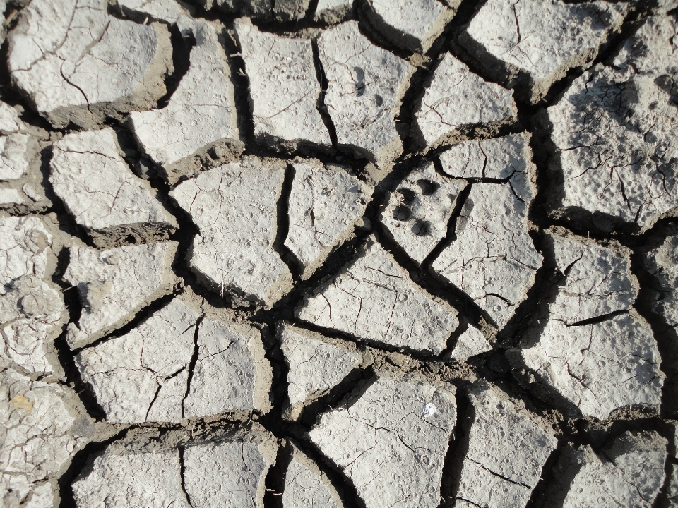 Nature coffee floor footprint