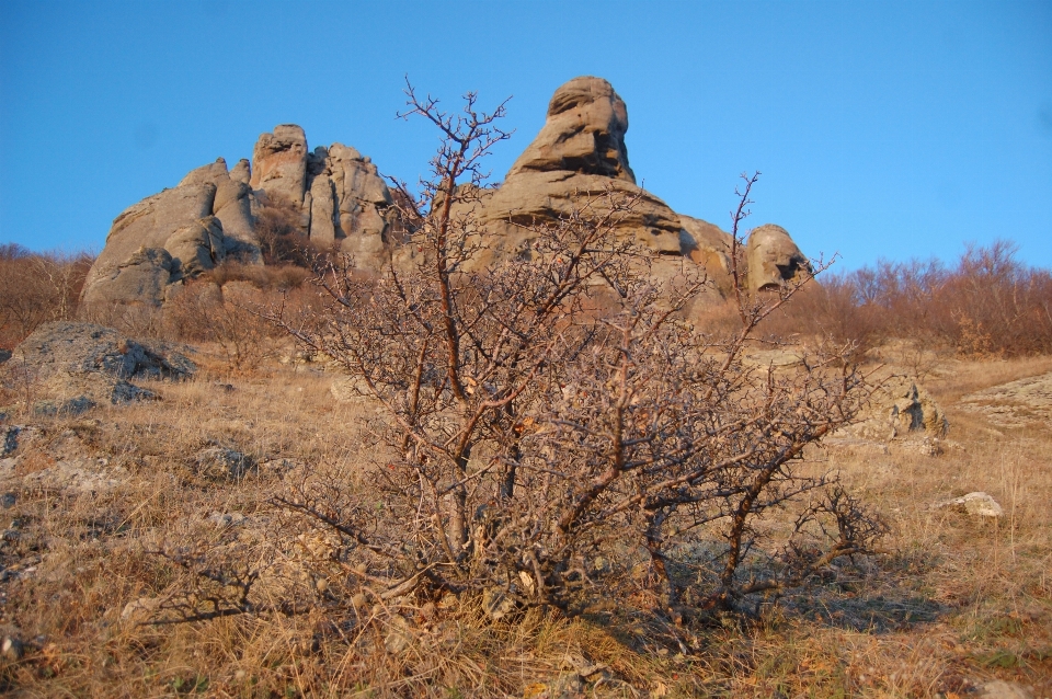 Landschaft natur rock wildnis
