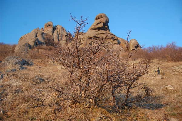 風景 自然 rock 荒野
 写真