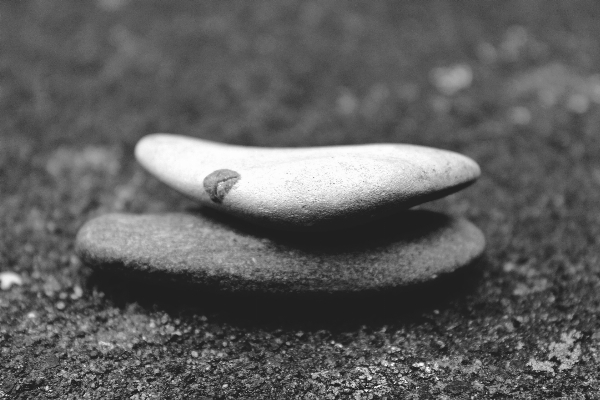 Hand nature sand rock Photo