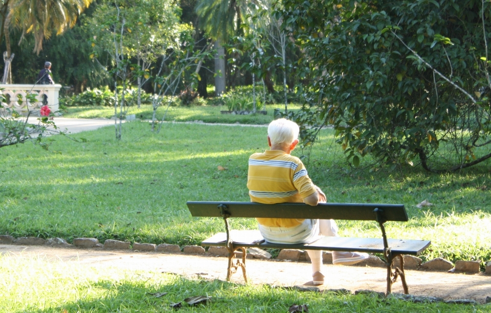 Halaman rumput sendiri kesedihan
 duduk