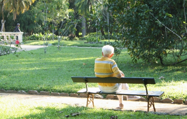 Lawn alone sadness sitting Photo