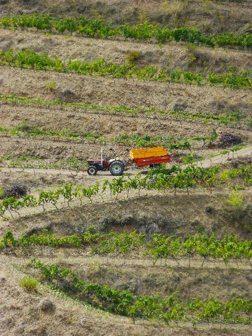 Traccia trattore campo campagna