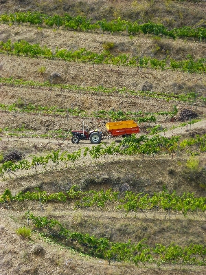 Track tractor field countryside Photo