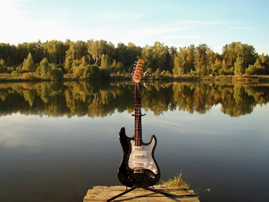 Foto árbol bosque desierto
 música