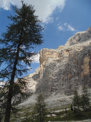 Landscape tree nature rock Photo