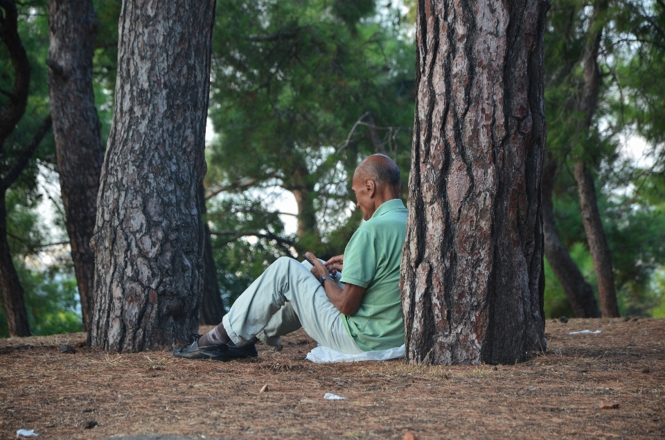 Uomo albero foresta vecchio