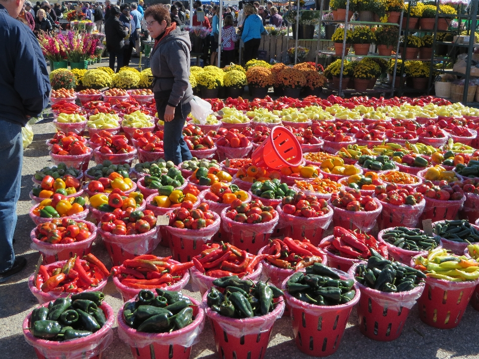 Pianta frutta fiore città