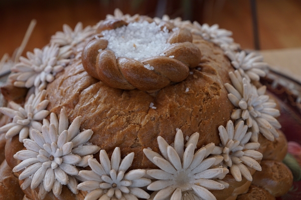 Flower food produce salt Photo