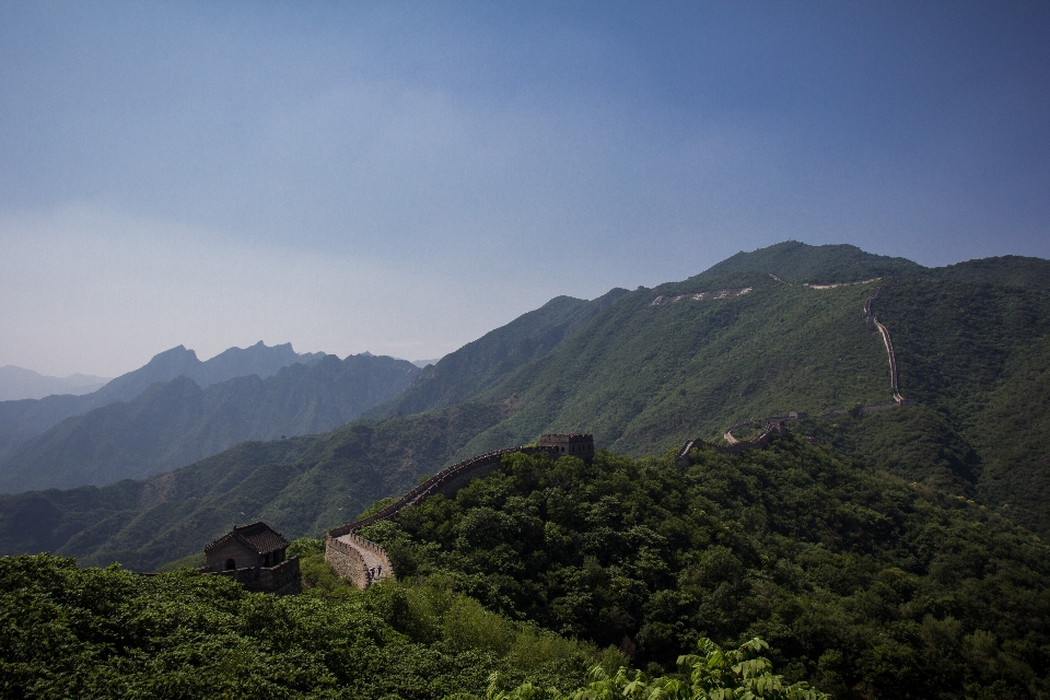 景观 自然 森林 荒野