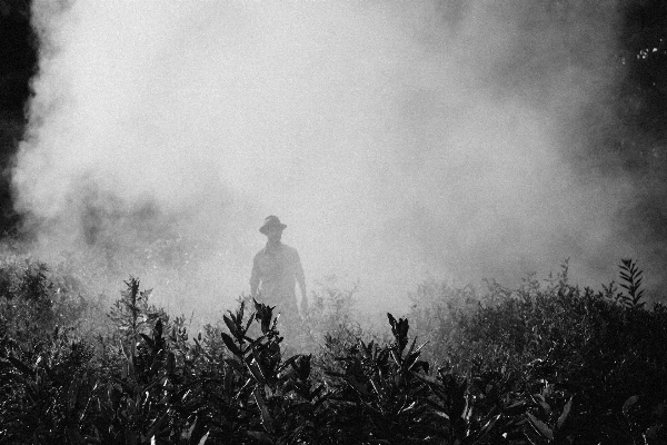 人 クラウド 黒と白
 霧 写真