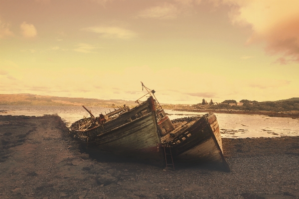 Beach sea coast sand Photo