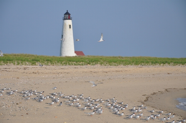 Beach landscape sea coast Photo