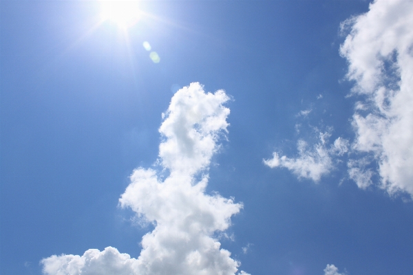 Nature light cloud sky Photo