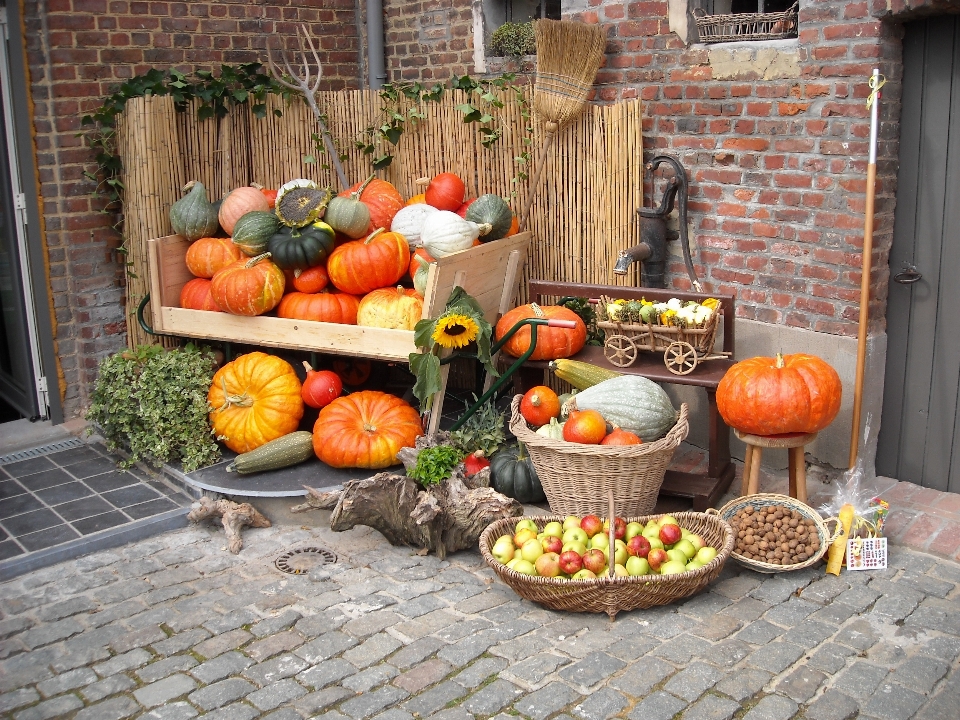 Orange meal food produce