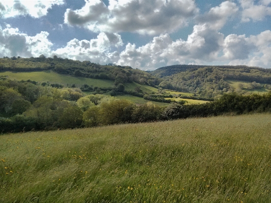 Landscape grass outdoor horizon Photo