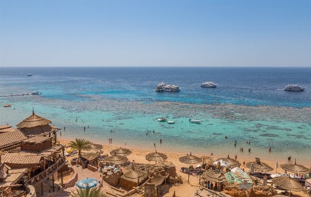 ビーチ 海 海岸 水 写真