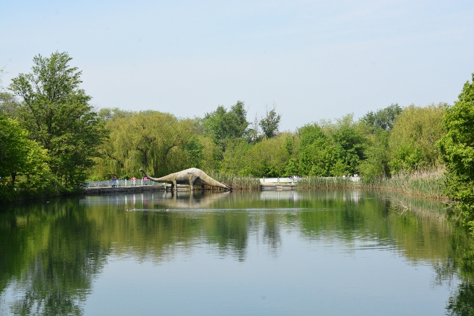 Paesaggio albero acqua natura