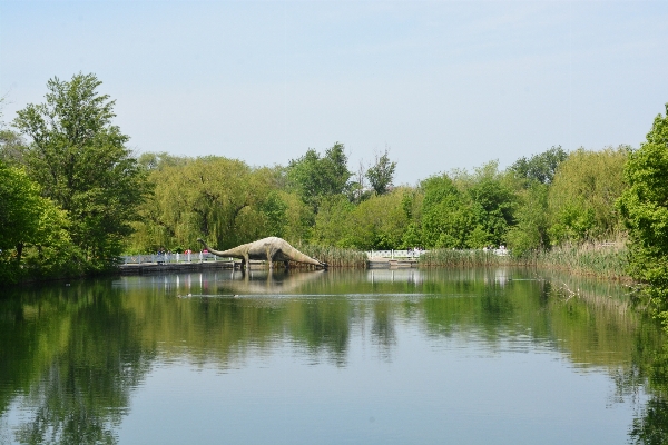 Landschaft baum wasser natur Foto