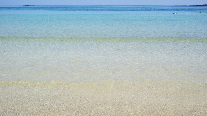 Beach sea coast sand Photo